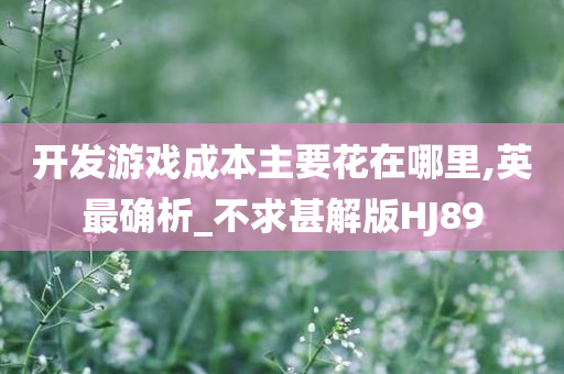 开发游戏成本主要花在哪里,英最确析_不求甚解版HJ89