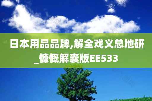 日本用品品牌,解全戏义总地研_慷慨解囊版EE533