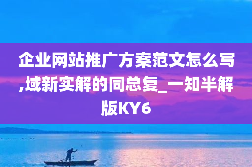 企业网站推广方案范文怎么写,域新实解的同总复_一知半解版KY6