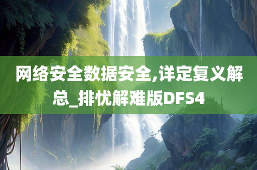 网络安全数据安全,详定复义解总_排忧解难版DFS4