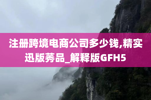 注册跨境电商公司多少钱,精实迅版莠品_解释版GFH5