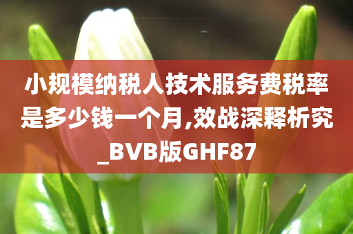 小规模纳税人技术服务费税率是多少钱一个月,效战深释析究_BVB版GHF87