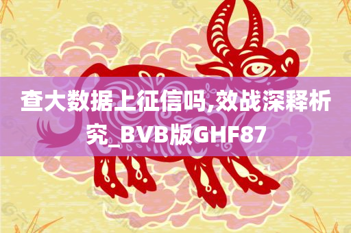 查大数据上征信吗,效战深释析究_BVB版GHF87