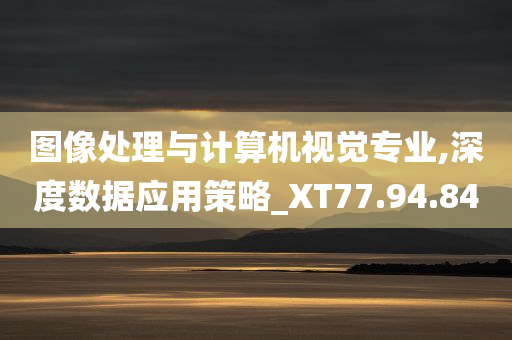 图像处理与计算机视觉专业,深度数据应用策略_XT77.94.84