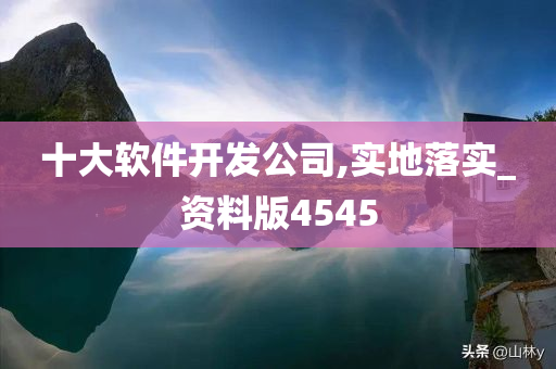 十大软件开发公司,实地落实_资料版4545