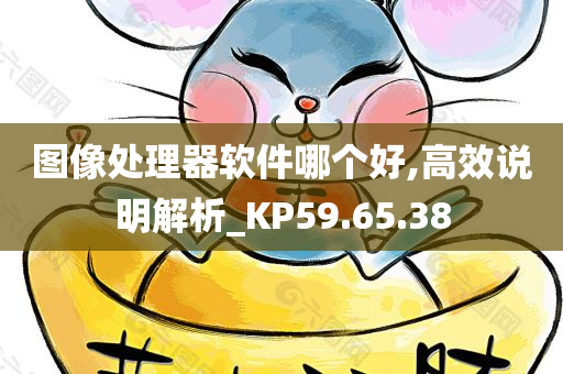 图像处理器软件哪个好,高效说明解析_KP59.65.38