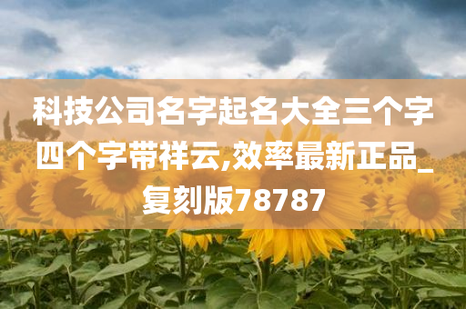 科技公司名字起名大全三个字四个字带祥云,效率最新正品_复刻版78787