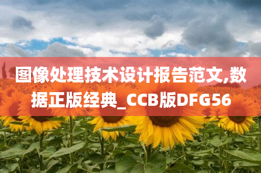 图像处理技术设计报告范文,数据正版经典_CCB版DFG56