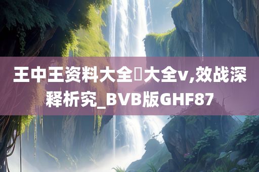 王中王资料大全枓大全v,效战深释析究_BVB版GHF87