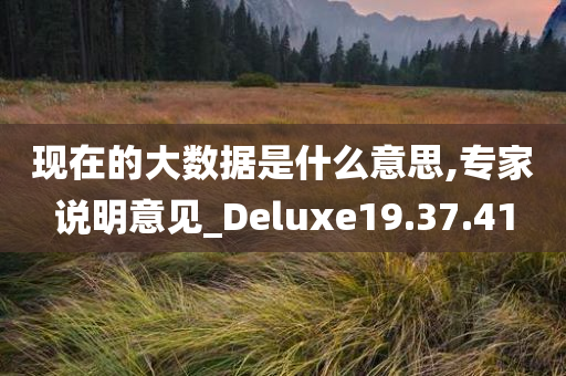 现在的大数据是什么意思,专家说明意见_Deluxe19.37.41