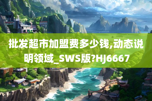 批发超市加盟费多少钱,动态说明领域_SWS版?HJ6667