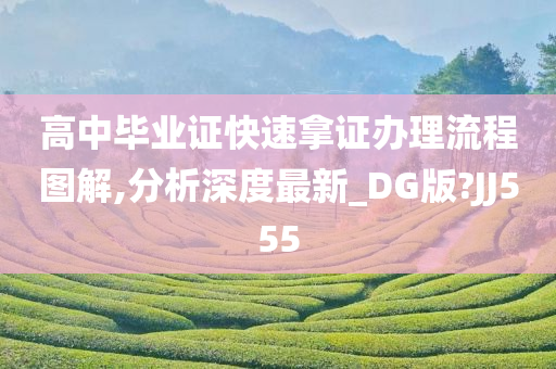 高中毕业证快速拿证办理流程图解,分析深度最新_DG版?JJ555