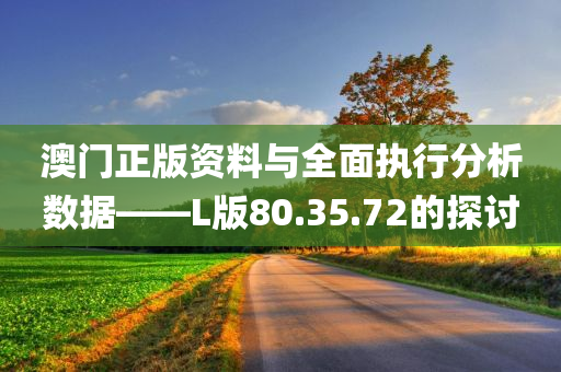 澳门正版资料与全面执行分析数据——L版80.35.72的探讨