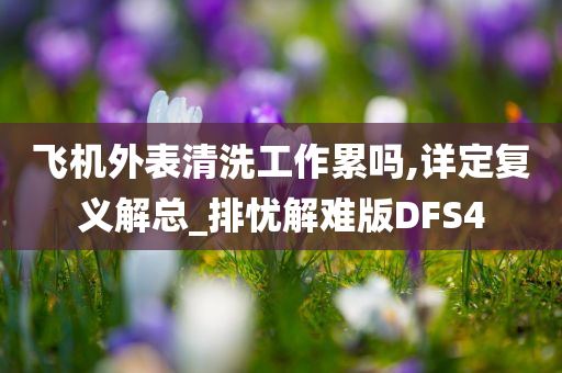 飞机外表清洗工作累吗,详定复义解总_排忧解难版DFS4