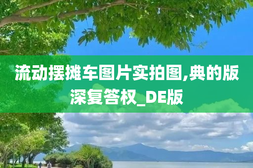 流动摆摊车图片实拍图,典的版深复答权_DE版