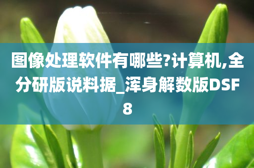 图像处理软件有哪些?计算机,全分研版说料据_浑身解数版DSF8