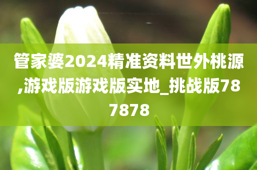 管家婆2024精准资料世外桃源,游戏版游戏版实地_挑战版787878