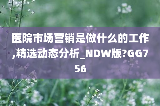 医院市场营销是做什么的工作,精选动态分析_NDW版?GG756