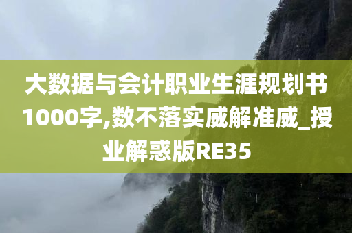 大数据与会计职业生涯规划书1000字,数不落实威解准威_授业解惑版RE35