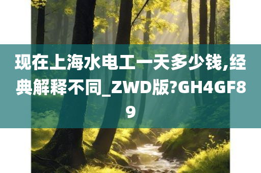 现在上海水电工一天多少钱,经典解释不同_ZWD版?GH4GF89