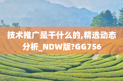 技术推广是干什么的,精选动态分析_NDW版?GG756