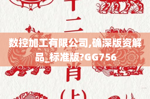 数控加工有限公司,确深版资解品_标准版?GG756