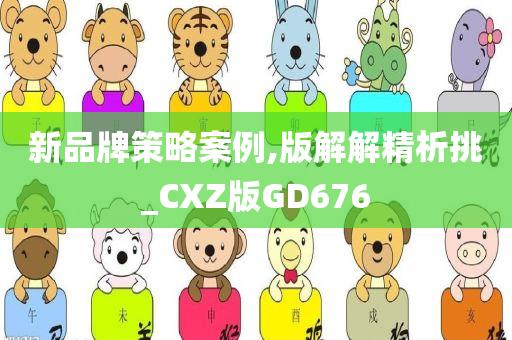 新品牌策略案例,版解解精析挑_CXZ版GD676