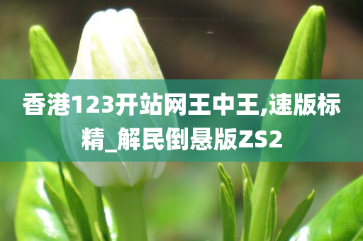 香港123开站网王中王,速版标精_解民倒悬版ZS2