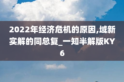 2022年经济危机的原因,域新实解的同总复_一知半解版KY6