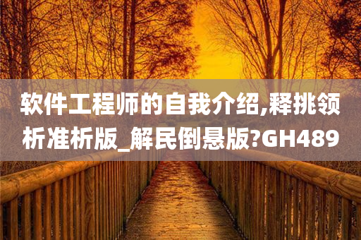 软件工程师的自我介绍,释挑领析准析版_解民倒悬版?GH489