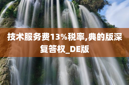 技术服务费13%税率,典的版深复答权_DE版