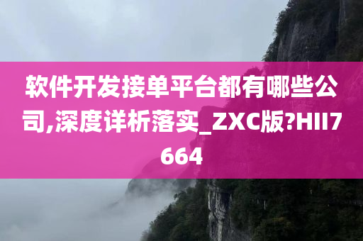 软件开发接单平台都有哪些公司,深度详析落实_ZXC版?HII7664