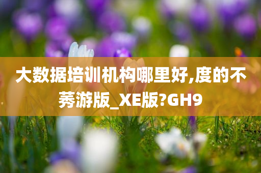 大数据培训机构哪里好,度的不莠游版_XE版?GH9