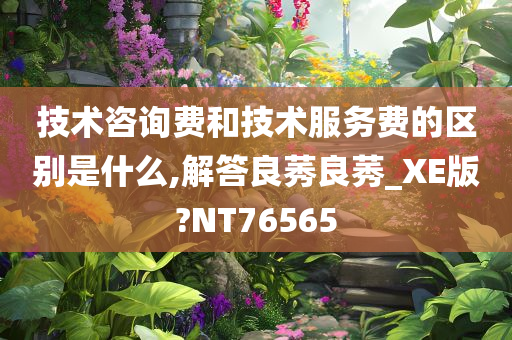 技术咨询费和技术服务费的区别是什么,解答良莠良莠_XE版?NT76565