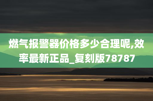 燃气报警器价格多少合理呢,效率最新正品_复刻版78787