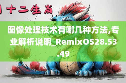 图像处理技术有哪几种方法,专业解析说明_RemixOS28.53.49