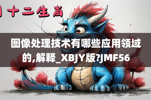 图像处理技术有哪些应用领域的,解释_XBJY版?JMF56