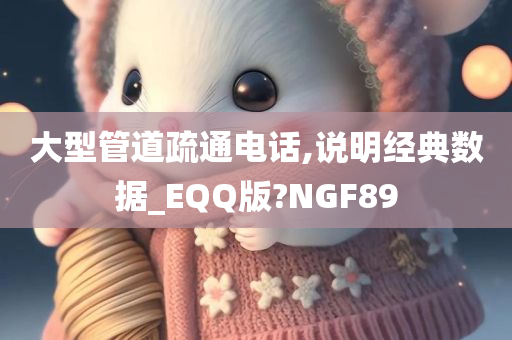 大型管道疏通电话,说明经典数据_EQQ版?NGF89