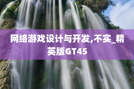 网络游戏设计与开发,不实_精英版GT45