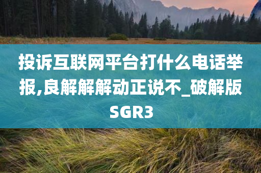 投诉互联网平台打什么电话举报,良解解解动正说不_破解版SGR3