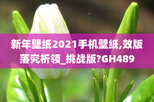 新年壁纸2021手机壁纸,效版落究析领_挑战版?GH489