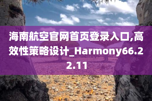 海南航空官网首页登录入口,高效性策略设计_Harmony66.22.11