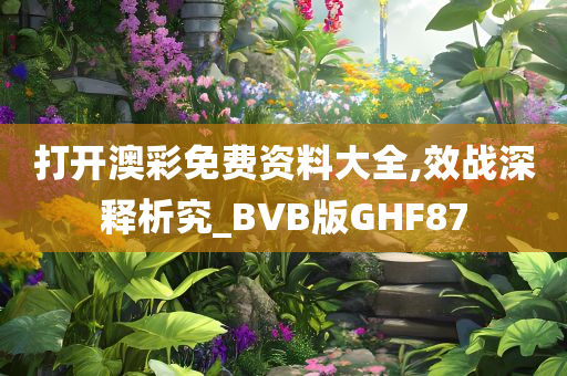 打开澳彩免费资料大全,效战深释析究_BVB版GHF87