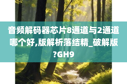 音频解码器芯片8通道与2通道哪个好,版解析落结精_破解版?GH9