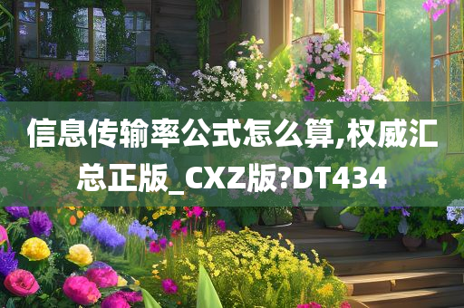 信息传输率公式怎么算,权威汇总正版_CXZ版?DT434