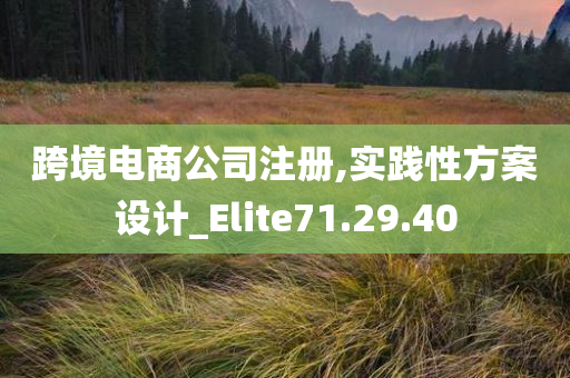 跨境电商公司注册,实践性方案设计_Elite71.29.40