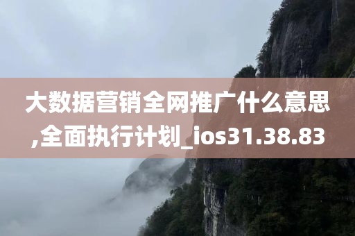 大数据营销全网推广什么意思,全面执行计划_ios31.38.83