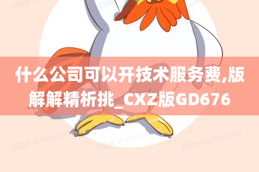 什么公司可以开技术服务费,版解解精析挑_CXZ版GD676