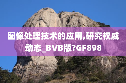 图像处理技术的应用,研究权威动态_BVB版?GF898