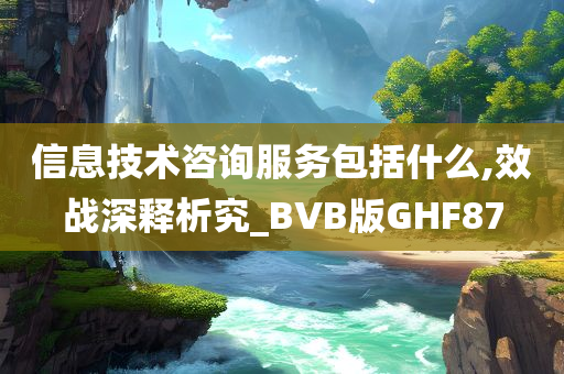 信息技术咨询服务包括什么,效战深释析究_BVB版GHF87